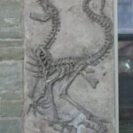 Dinosaurier in Stein